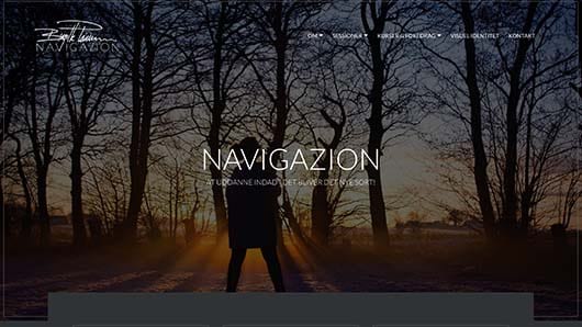 Navigazion